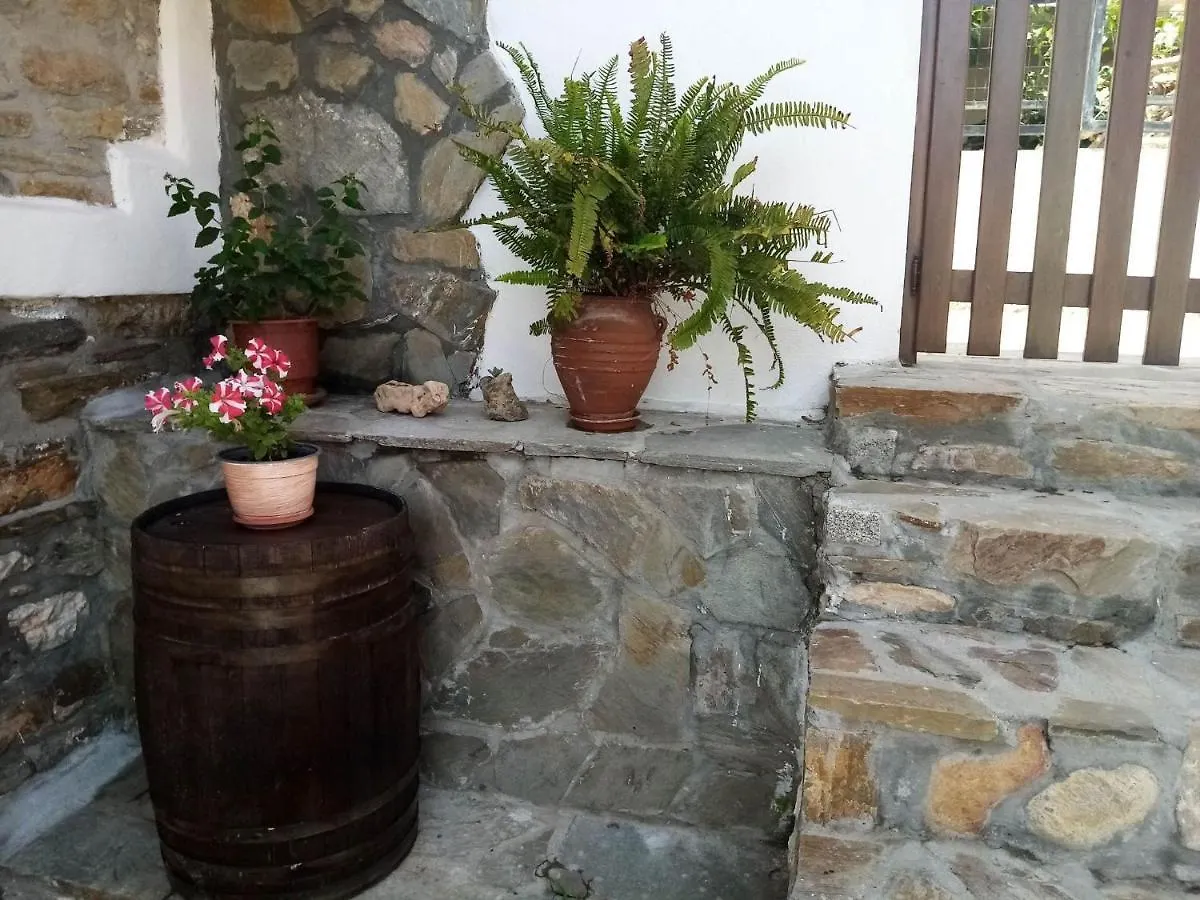 Petrino1880 Sea-Vacation Apartment In Chalkidiki Agios Nikolaos